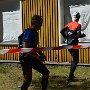 Libahundi jälg Aegna etapp 2017 229